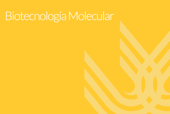 Foto de Biotecnología molecular
