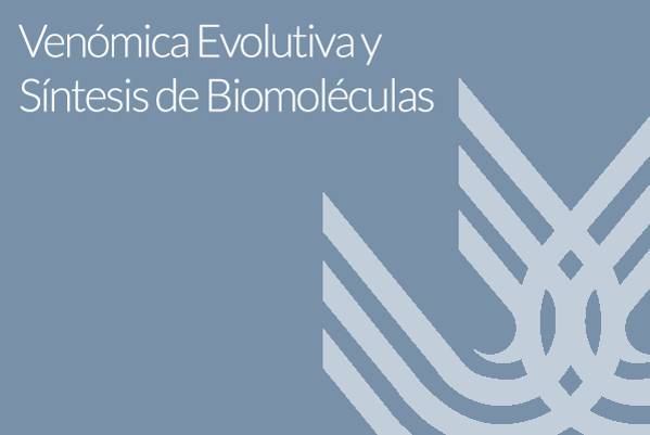 Foto de Venómica Evolutiva y Síntesis de Biomoléculas