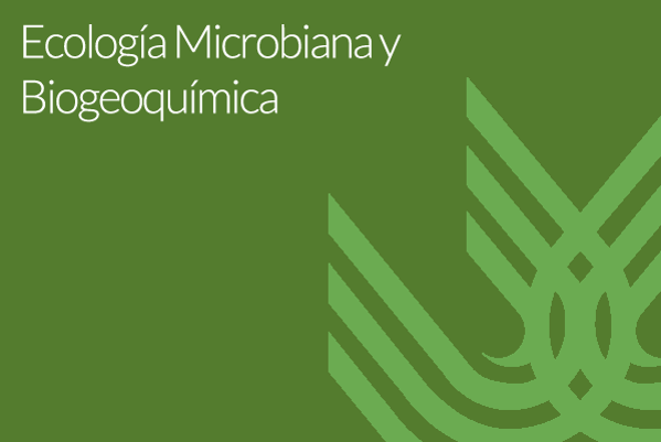 Foto de Ecología Microbiana y Biogeoquímica